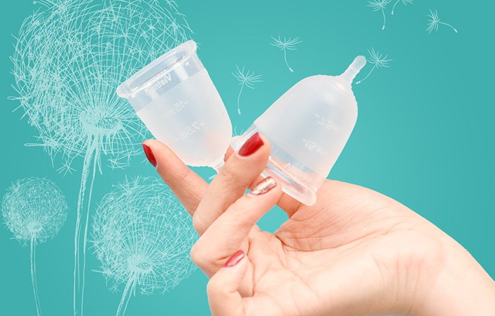 Hình ảnh cốc nguyệt san
