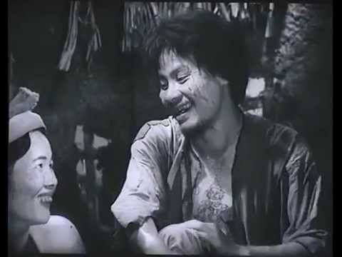 Phân tích "tiếng chửi của Chí Phèo" trong tác phẩm Chí Phèo - Nam Cao