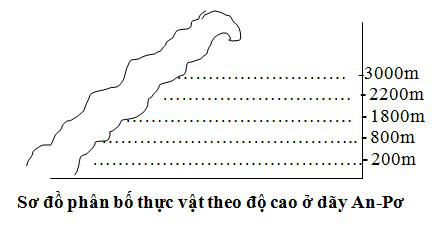 Đề thi học kì 2 lớp 7 môn Địa