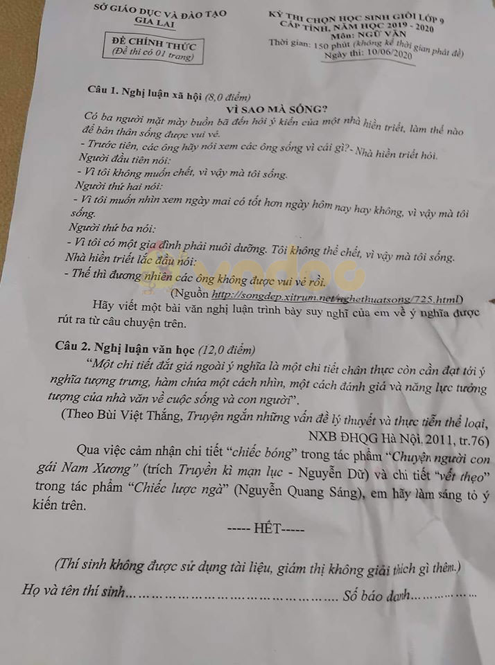 Đề thi chọn học sinh giỏi lớp 9 môn Ngữ văn Sở GD&ĐT Gia Lai năm học 2019 - 2020