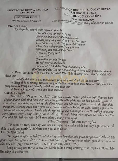 Đề thi học sinh giỏi lớp 8 môn Ngữ văn Phòng GD&ĐT Lục Ngạn năm học 2019 - 2020
