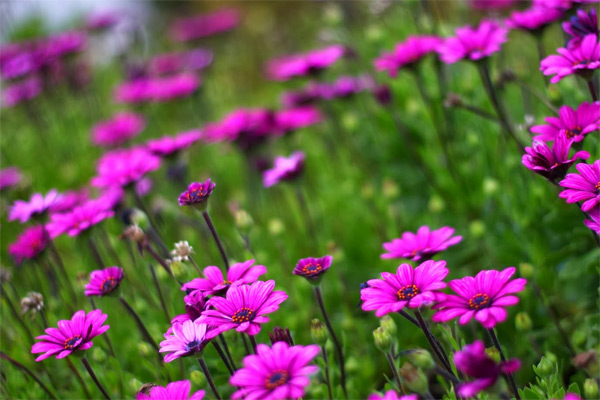 Nghị luận về ý nghĩa của việc cho đi trong cuộc sống