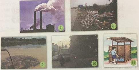 Giải Khoa học lớp 5 VNEN bài 34