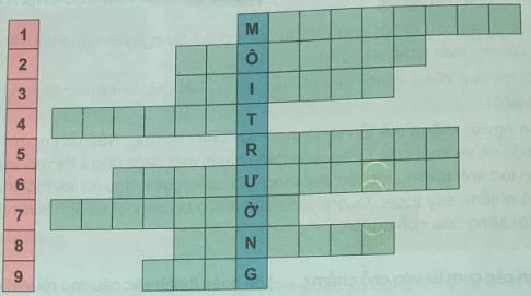 Giải Khoa học lớp 5 VNEN bài 34