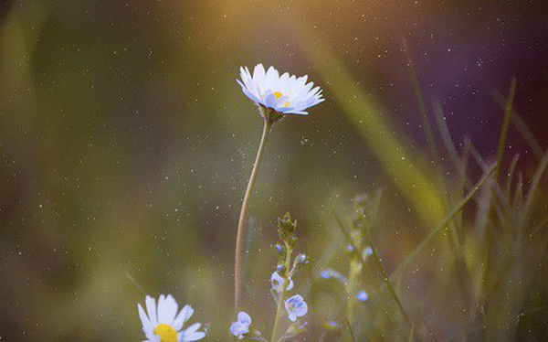 Nghị luận xã hội về câu nói: Cảm thông là chiếc chìa khoá mở cửa trái tim người khác