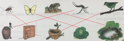 Giải Khoa học lớp 5 VNEN: Ôn tập và kiểm tra cuối năm
