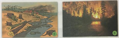 Giải Khoa học lớp 5 VNEN: Ôn tập và kiểm tra cuối năm