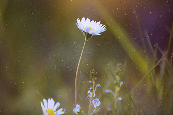 Nghị luận xã hội về câu nói: Khó khăn hôm qua nhào nặn nên con người bạn hôm nay