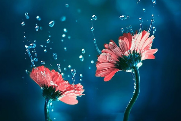 Nghị luận xã hội: Tuổi trẻ và tương lai đất nước