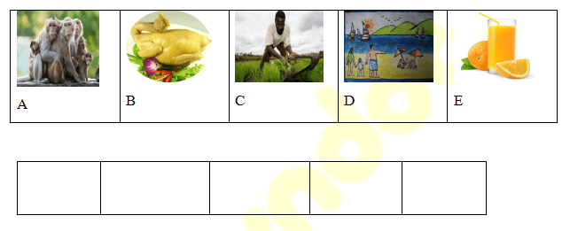 Đề thi tiếng Anh lớp 4 học kỳ 2 trường Tiểu học Minh Hà năm 2019 - 2020