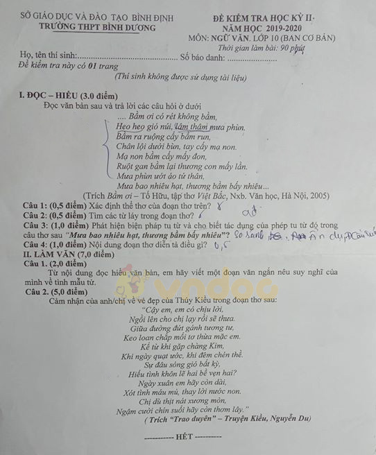 Đề thi học kì 2 lớp 10 môn Ngữ văn Trường THPT Bình Dương, Bình Định năm 2019 - 2020