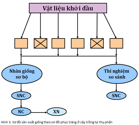 lý thuyết công nghệ 10