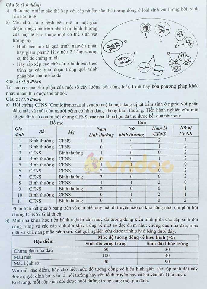 Đề thi tuyển sinh vào lớp 10 môn Sinh năm 2020 Trường THPT Chuyên KHTN