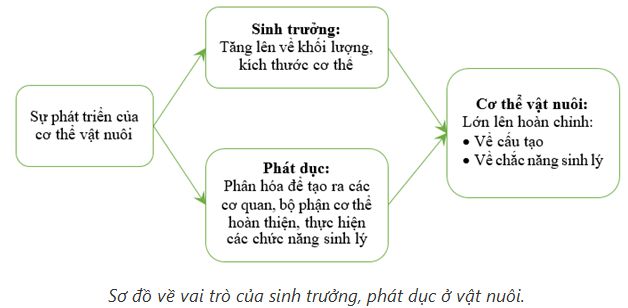 lý thuyết công nghệ 10