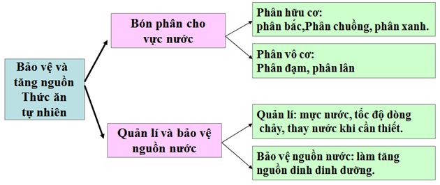 lý thuyết công nghệ 10