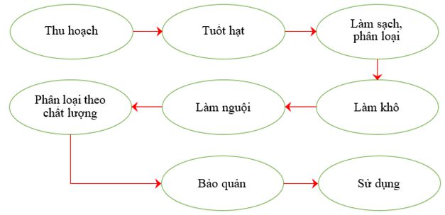 lý thuyết công nghệ 10