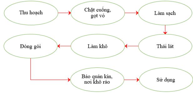 lý thuyết công nghệ 10