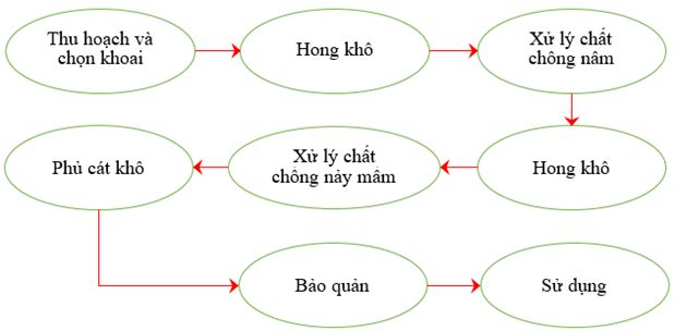 lý thuyết công nghệ 10