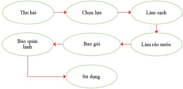 lý thuyết công nghệ 10