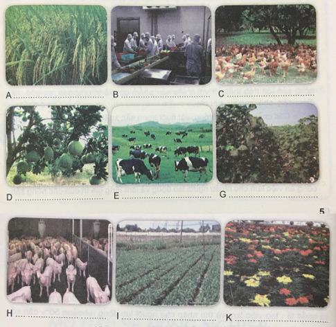 Soạn VNEN Công nghệ 7