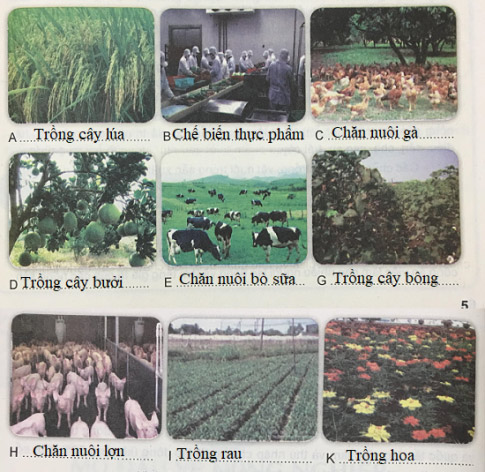 Soạn VNEN Công nghệ 7