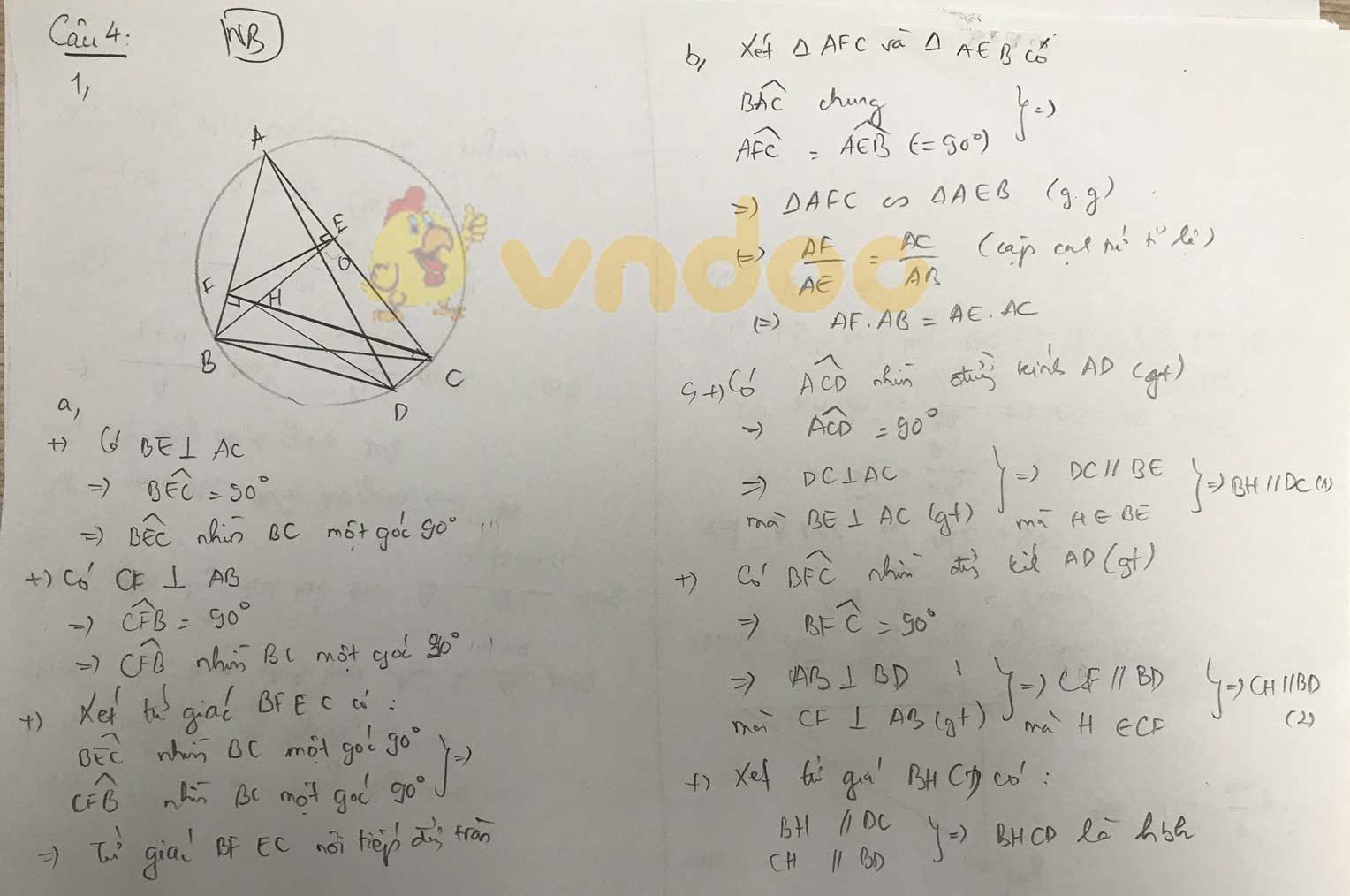 Đáp án đề thi tuyển sinh lớp 10 môn Toán tỉnh Ninh Bình năm 2020