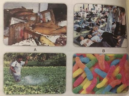 Soạn công nghệ lớp 6