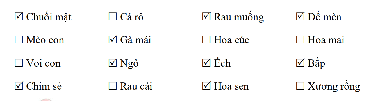 Bộ đề ôn hè lớp 1 lên lớp 2 môn Tiếng Việt
