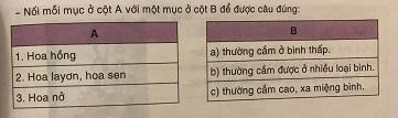 Soạn công nghệ lớp 6: Cắm hoa trang trí VNEN