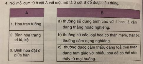 Trang trí nhà ở bằng hoa và cây cảnh VNEN