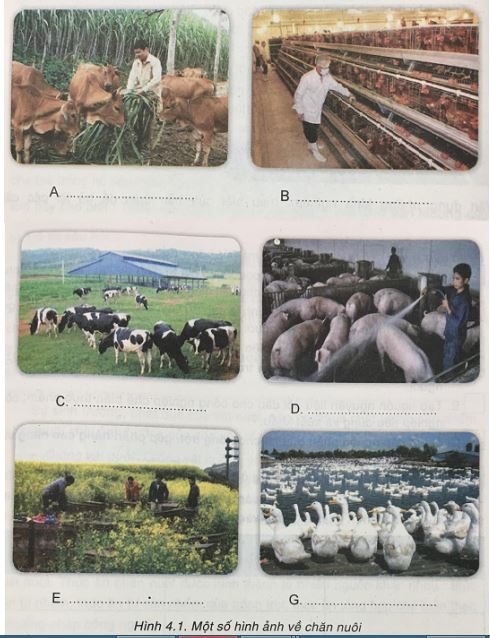 Giải VNEN Công nghệ 7