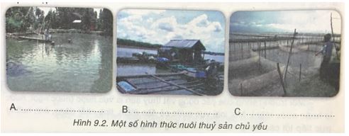 Giải VNEN Công nghệ 7