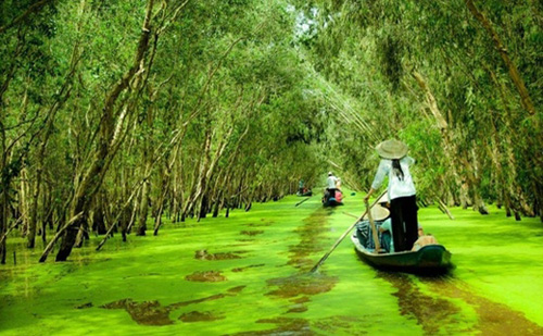 Sông nước Cà Mau - Đoàn Giỏi