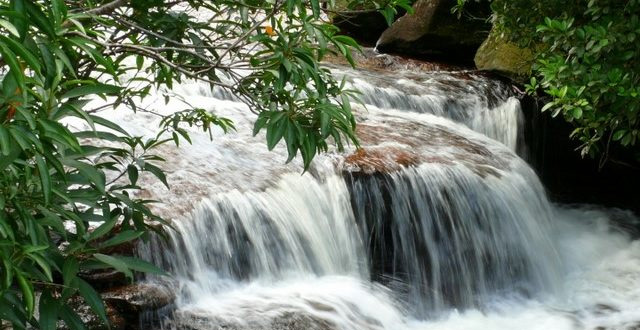 Bài ca Côn Sơn - Nguyễn Trãi