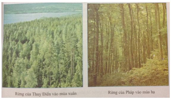 Giải bài tập SGK Địa lý lớp 7 bài 18