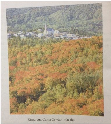 Giải bài tập SGK Địa lý lớp 7 bài 17