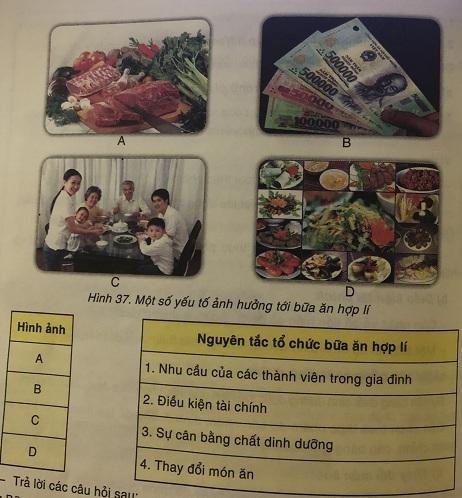 Tổ chức bữa ăn hợp lí trong gia đình VNEN