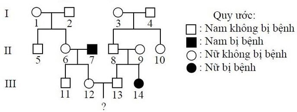 Đáp án đề minh họa 2020 môn Sinh học lần 2