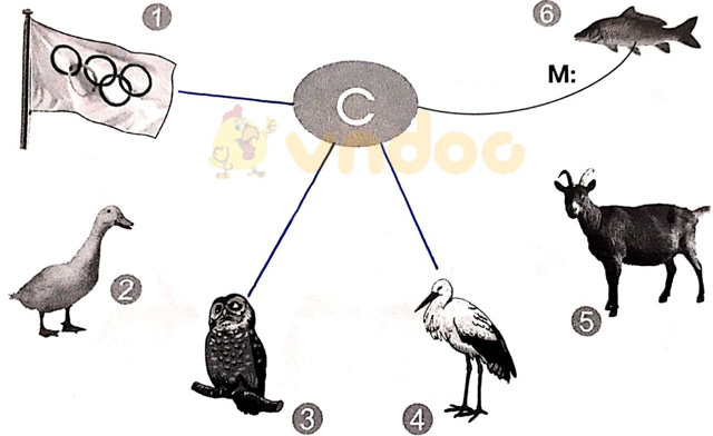 Giải vở bài tập Tiếng Việt 1 Cánh Diều Bài 1: a, c