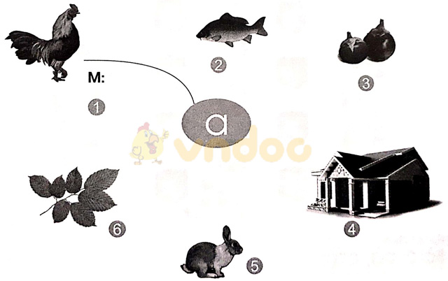Giải vở bài tập Tiếng Việt 1 Cánh Diều Bài 1: a, c