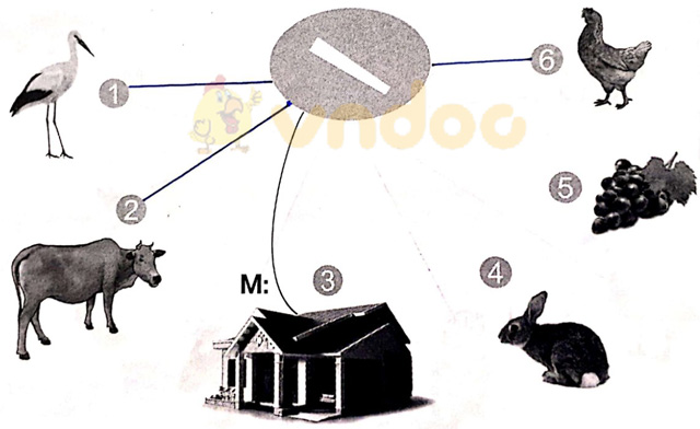 Giải vở bài tập Tiếng Việt 1 Cánh Diều Bài 2: cà, cá