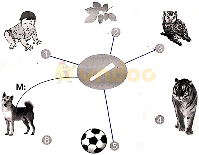 Giải vở bài tập Tiếng Việt 1 Cánh Diều Bài 2: cà, cá