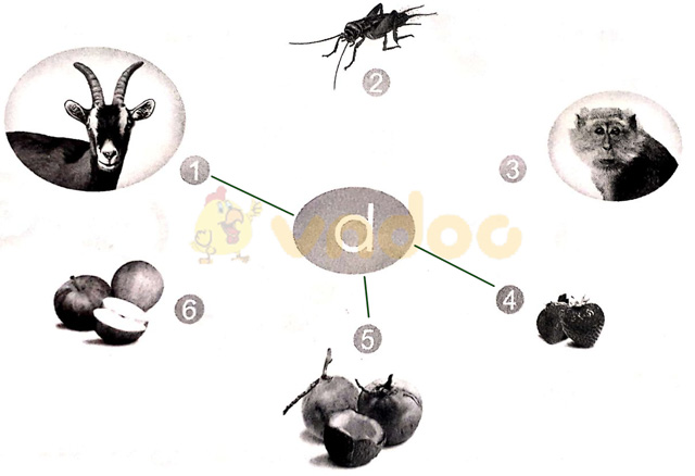 Giải vở bài tập Tiếng Việt 1 Cánh Diều Bài 6: ơ, d