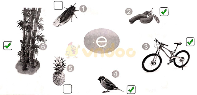 Giải vở bài tập Tiếng Việt 1 Cánh Diều Bài 7: đ, e