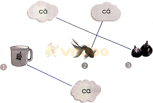 Giải vở bài tập Tiếng Việt 1 Cánh Diều Bài 2: cà, cá