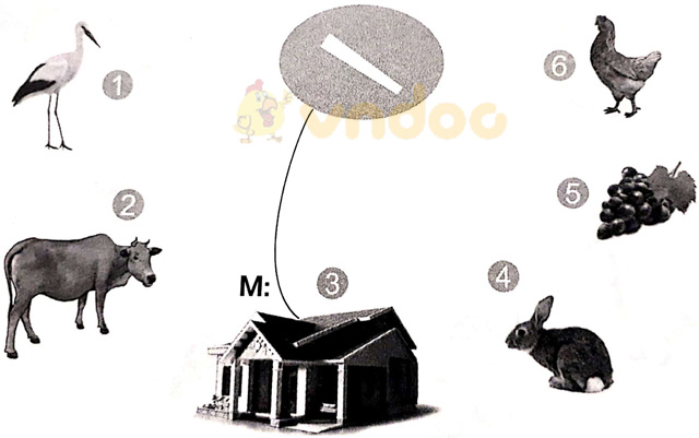 Giải vở bài tập Tiếng Việt 1 Cánh Diều Bài 2: cà, cá