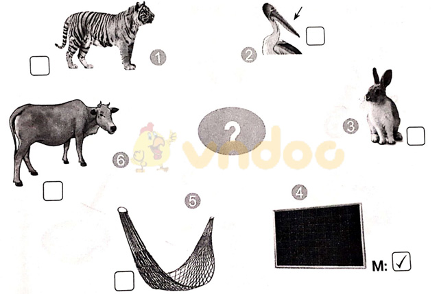 Giải vở bài tập Tiếng Việt 1 Cánh Diều Bài 5: cỏ, cọ