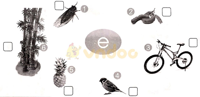 Giải vở bài tập Tiếng Việt 1 Cánh Diều Bài 7: đ, e