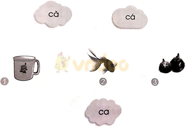 Giải vở bài tập Tiếng Việt 1 Cánh Diều Bài 2: cà, cá