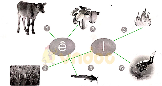 Giải vở bài tập Tiếng Việt 1 Cánh Diều Bài 10: ê, l